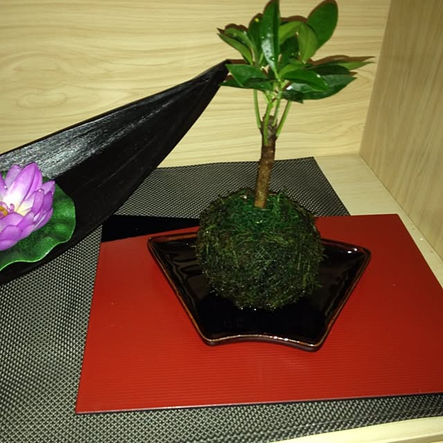 Kazさんの実例写真