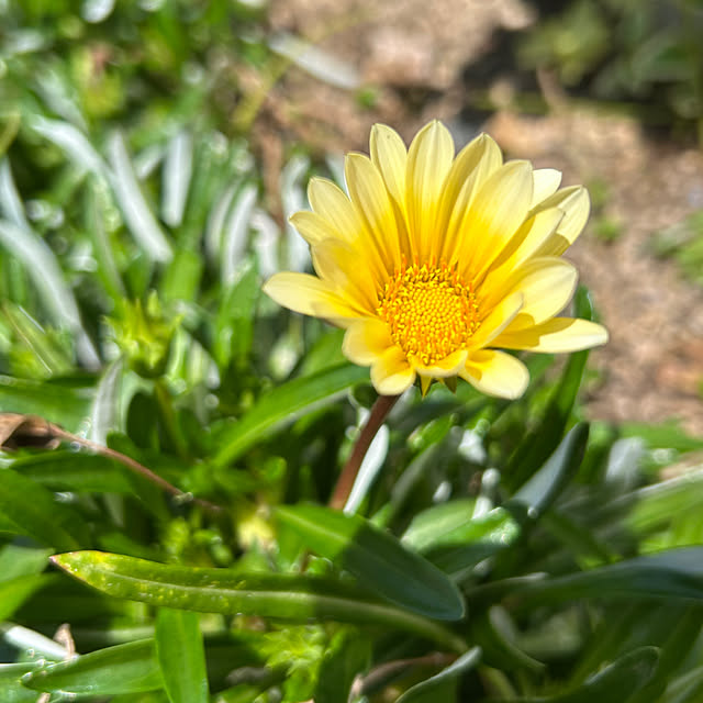 R.5.mamaさんの部屋