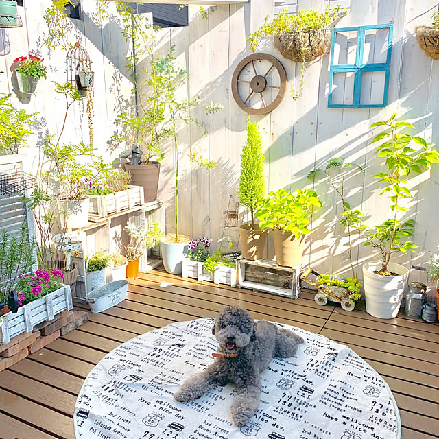 makoriさんの実例写真