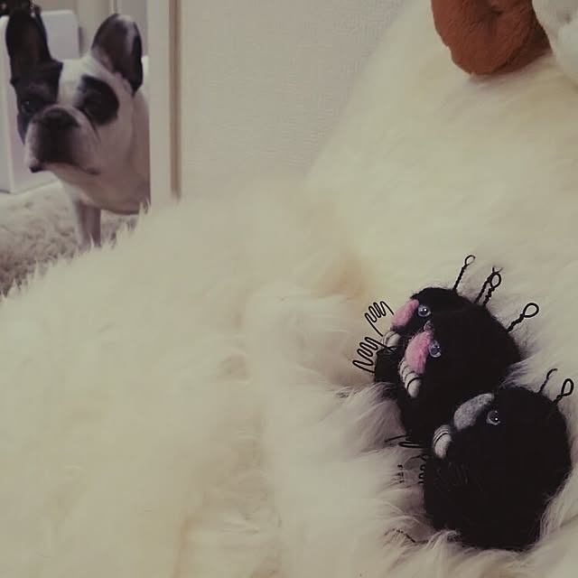 panchobiさんの実例写真