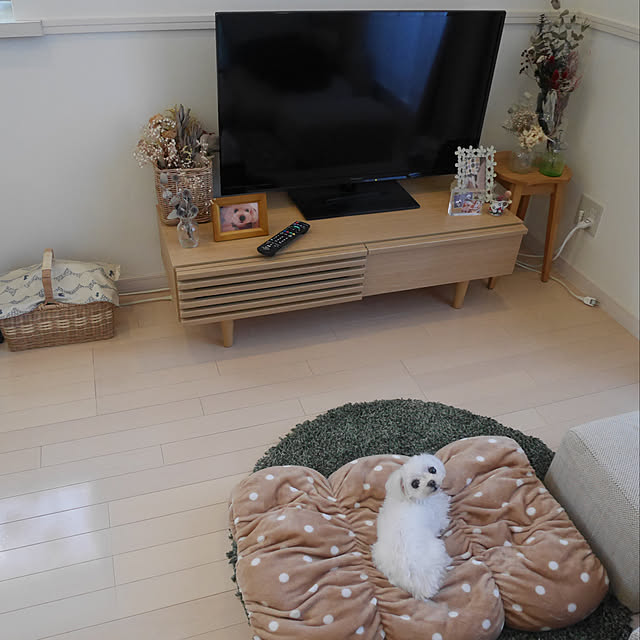 chebpooさんの実例写真