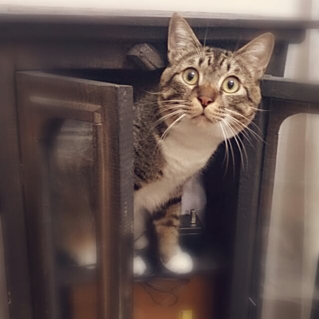 Lukiさんの実例写真