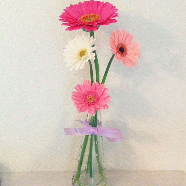 koaraさんの実例写真