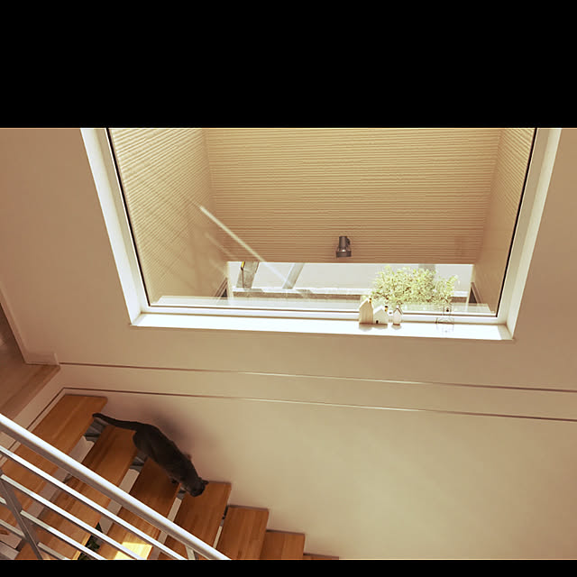 壁/天井のインテリア実例 - 2019-02-22 12:27:54