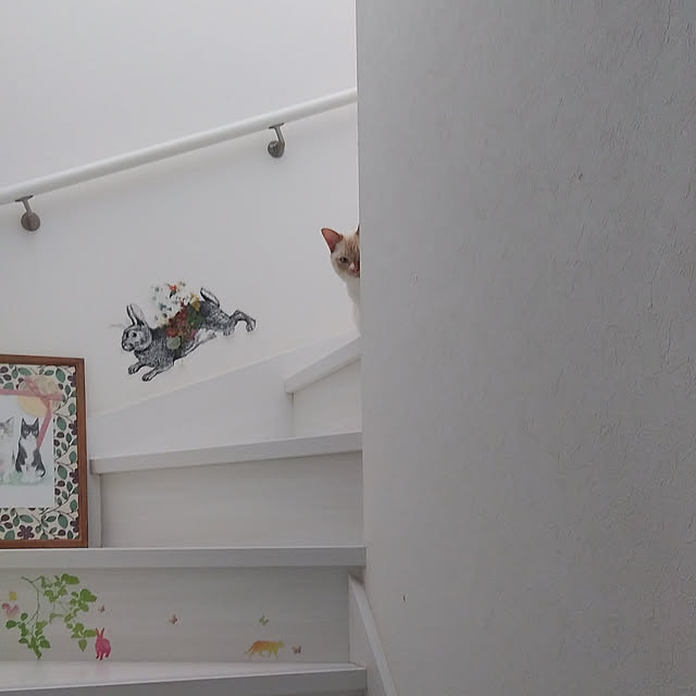 Gomaさんの実例写真