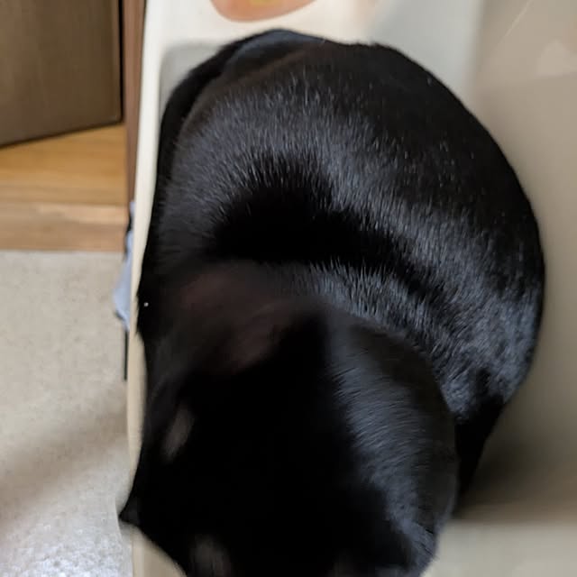 asaさんの部屋