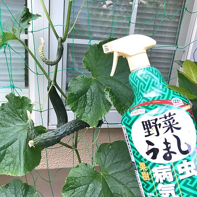 tararaさんの実例写真