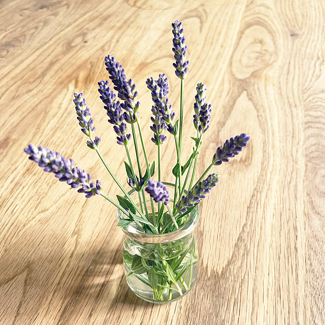 nutsさんの実例写真