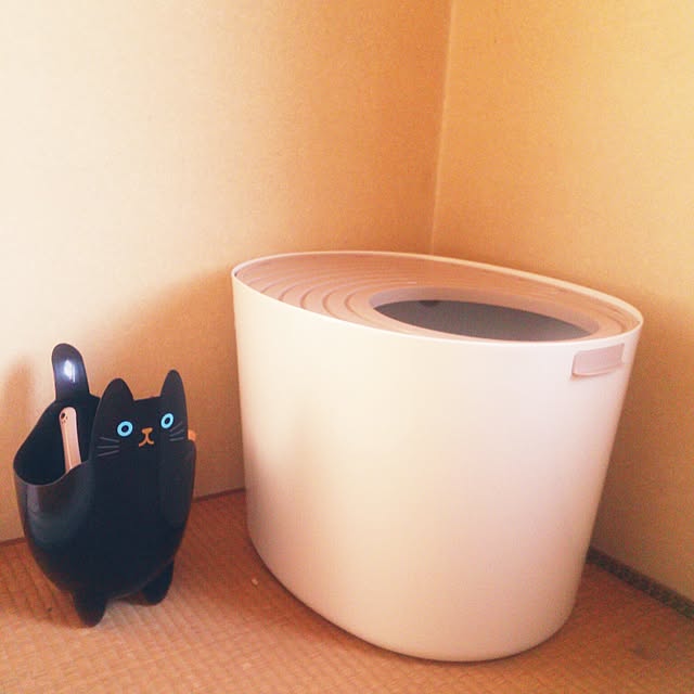 Tomopさんの実例写真