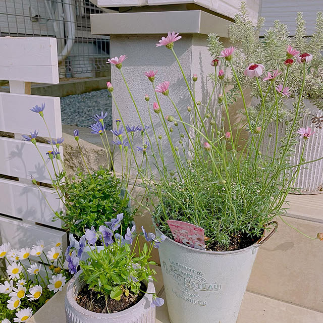 maa_ouchi___さんの実例写真