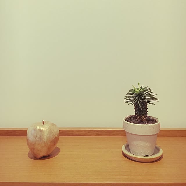 Y1178さんの実例写真