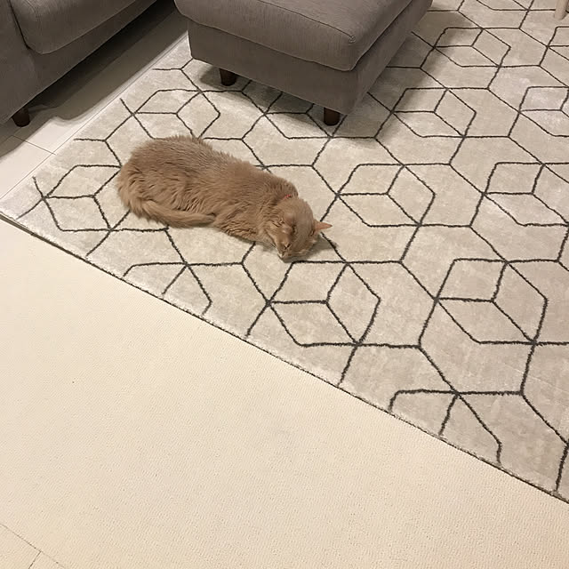 mofucatさんの実例写真