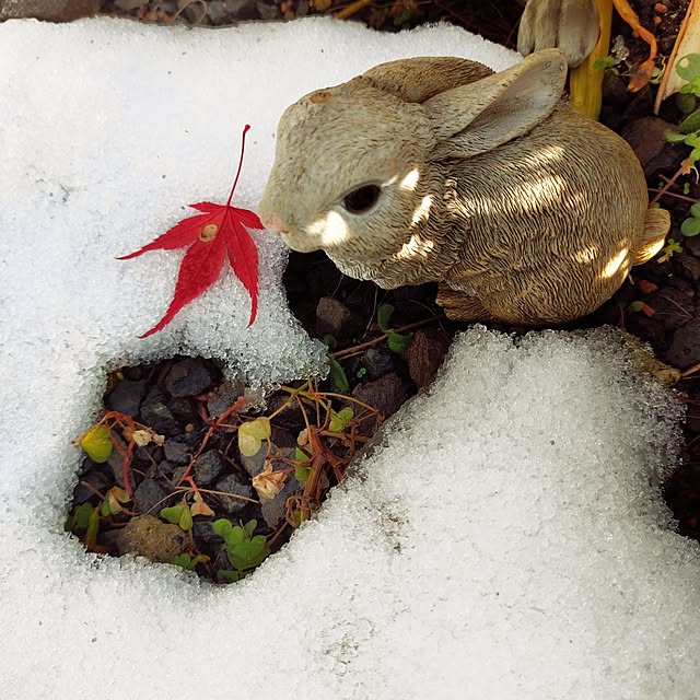 kiraさんの実例写真