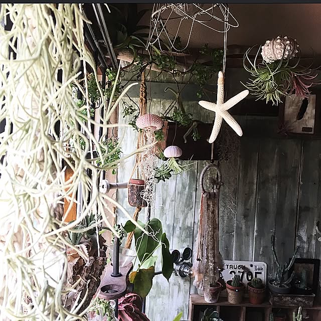 edenさんの実例写真