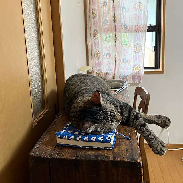 mikan161さんの実例写真