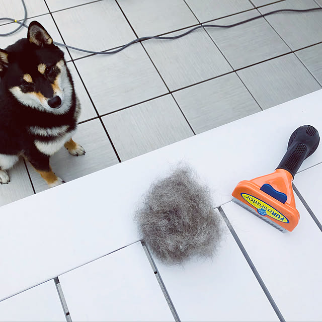 nuruiさんの実例写真