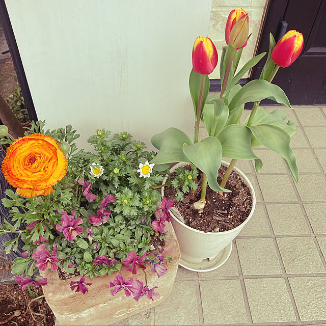 minamiさんの実例写真