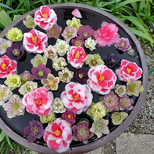 hirowabuta17さんの部屋