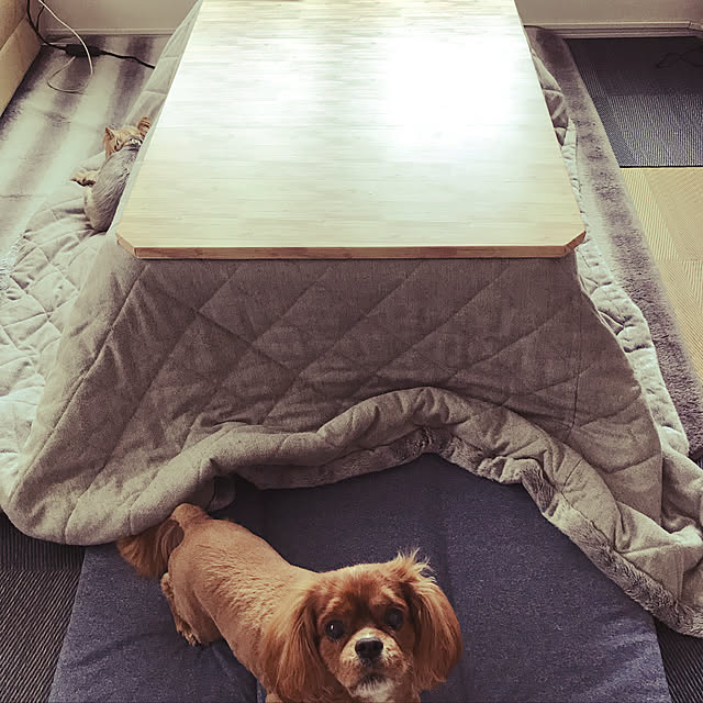tomotetsuさんの実例写真