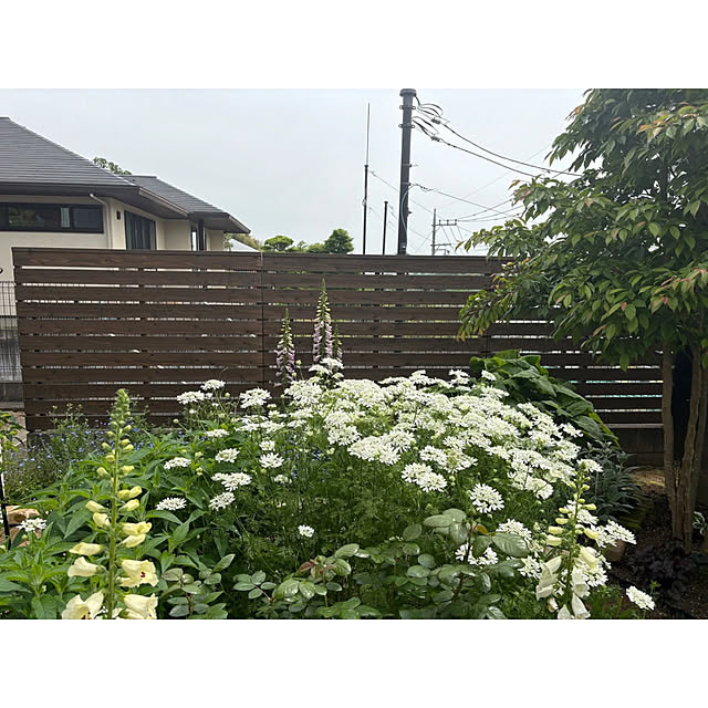 WOODPROさんの部屋