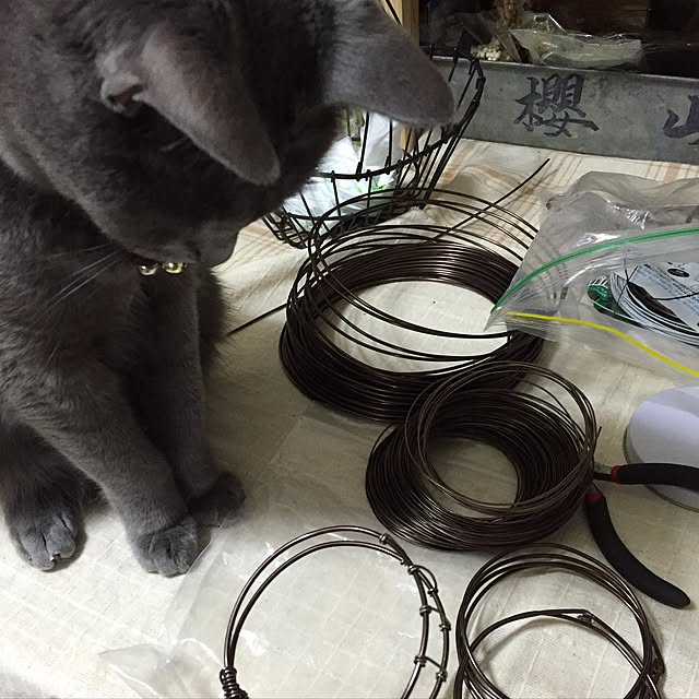 8717さんの実例写真