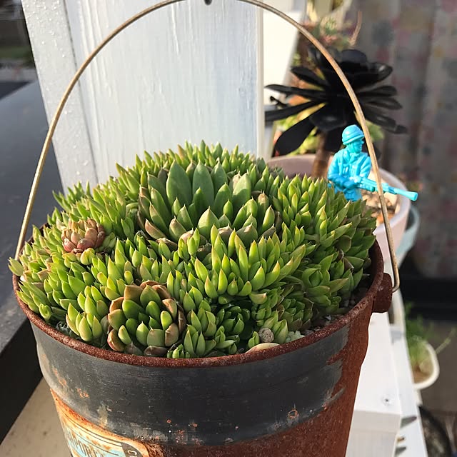 SANAさんの実例写真