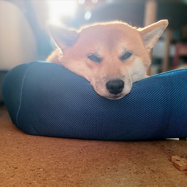 nanaさんの部屋
