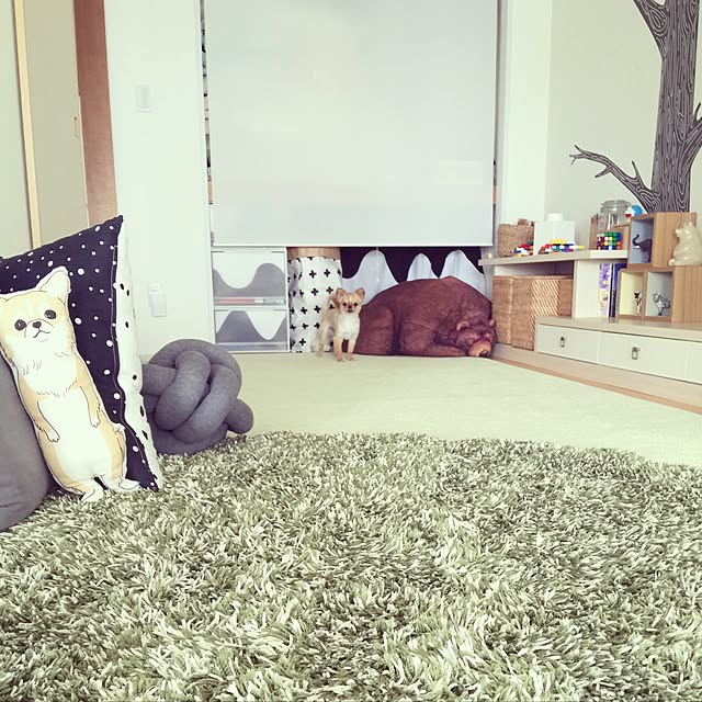 haruhinaさんの実例写真