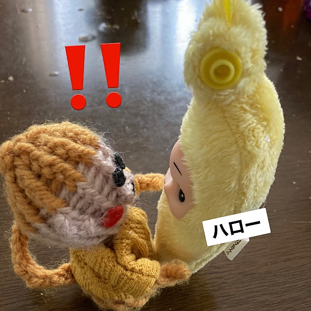 manduonmaさんの実例写真