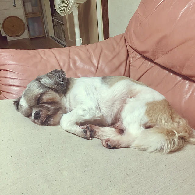 kojiro120513さんの実例写真