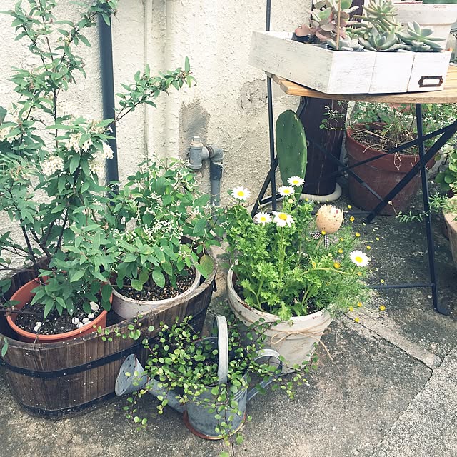 coraruさんの実例写真