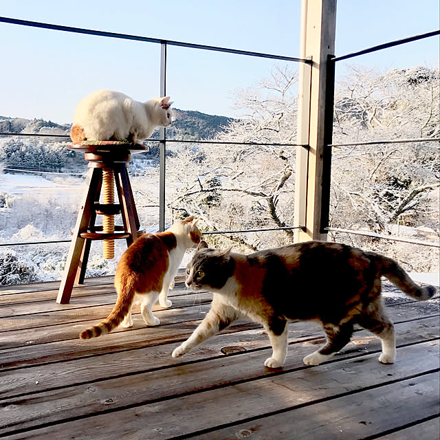 sakurasakuさんの実例写真