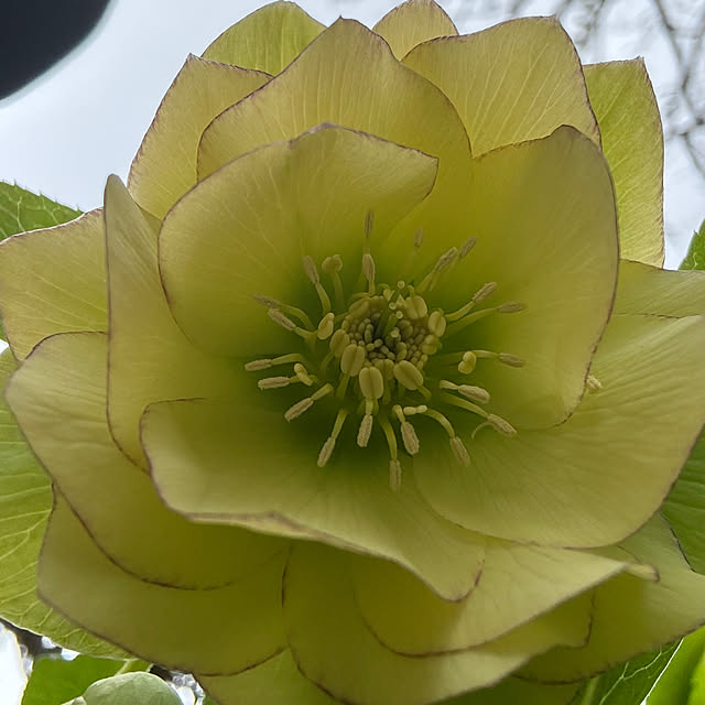 mamizaさんの部屋