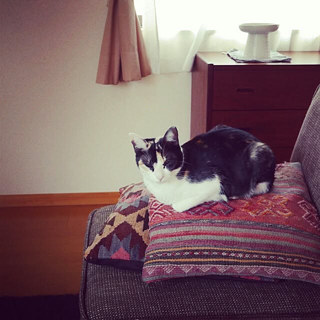 kanaさんの実例写真