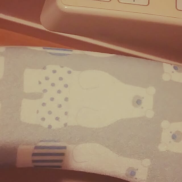 civisasaさんの実例写真