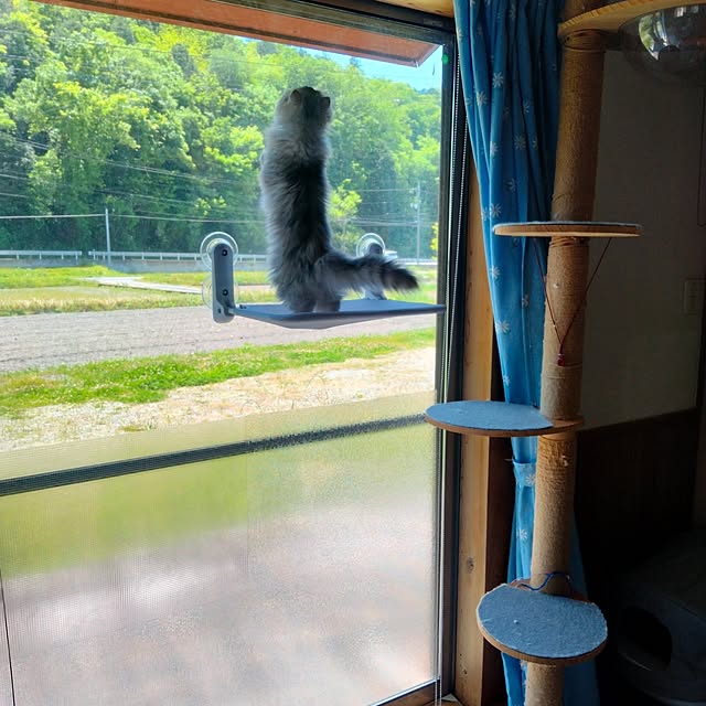 makaronさんの実例写真