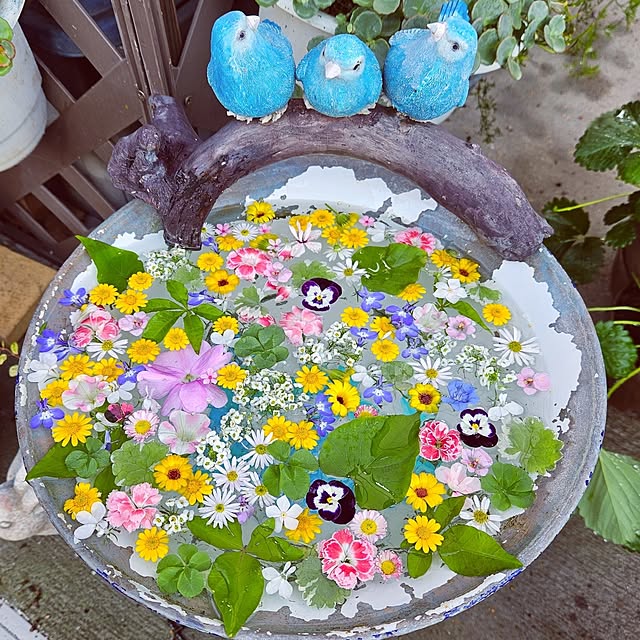 mocomocoさんの部屋