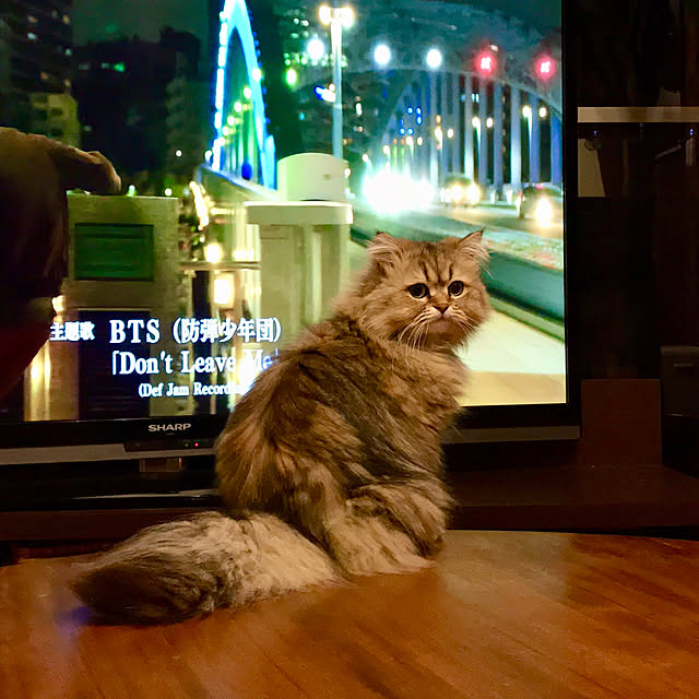 butachanさんの実例写真