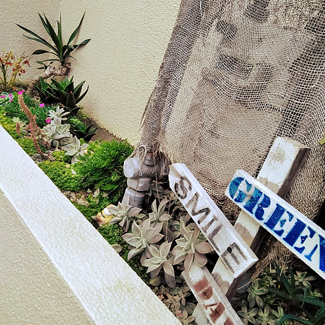 実例写真