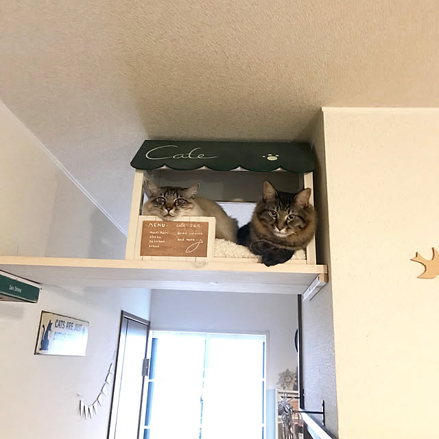 kazaneさんの実例写真