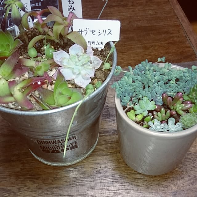 tikuwaさんの実例写真