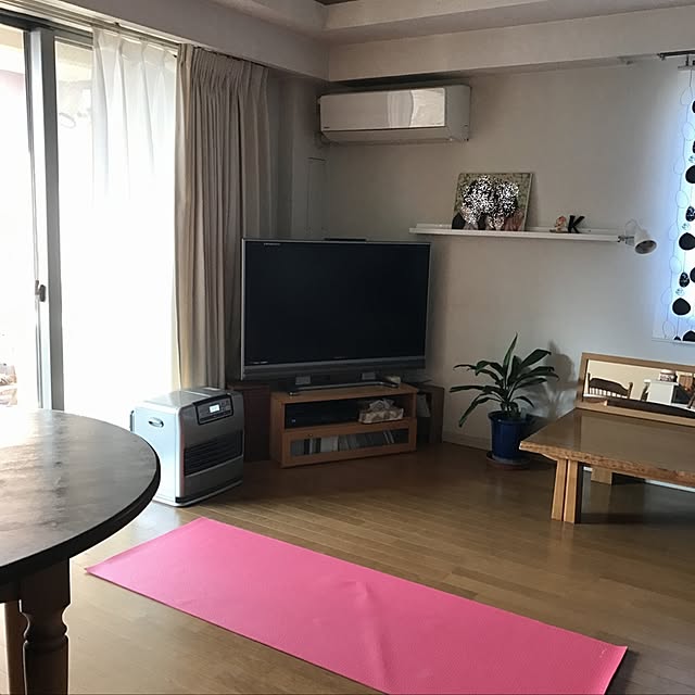 iganokoさんの実例写真