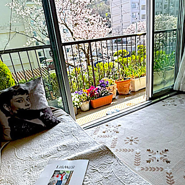 syutmmさんの部屋