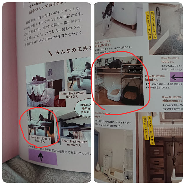 kumiさんの実例写真