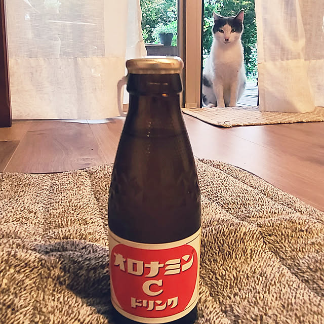 utaさんの実例写真