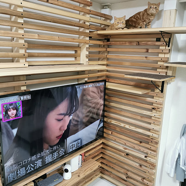 nimさんの実例写真
