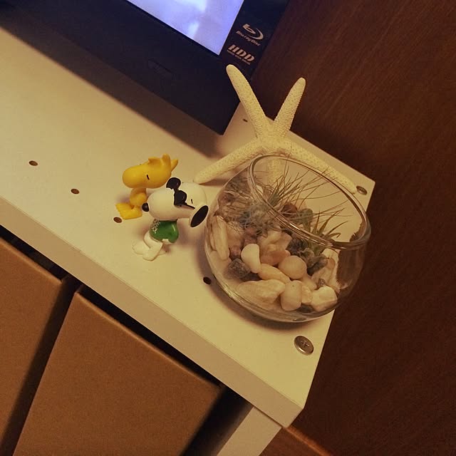 yuuさんの実例写真