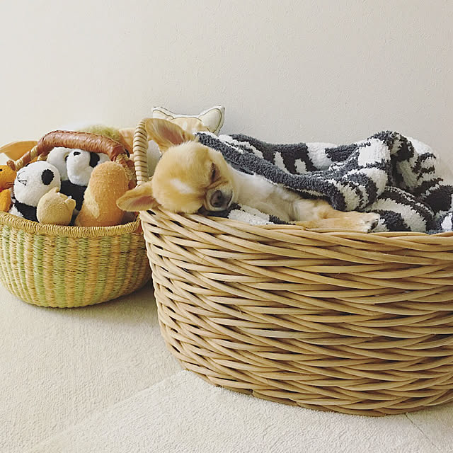 haruhinaさんの実例写真