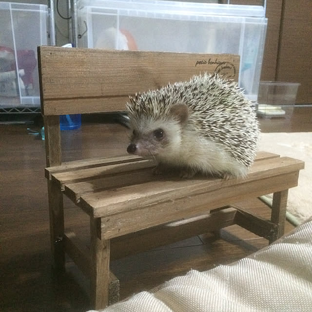 mieさんの実例写真