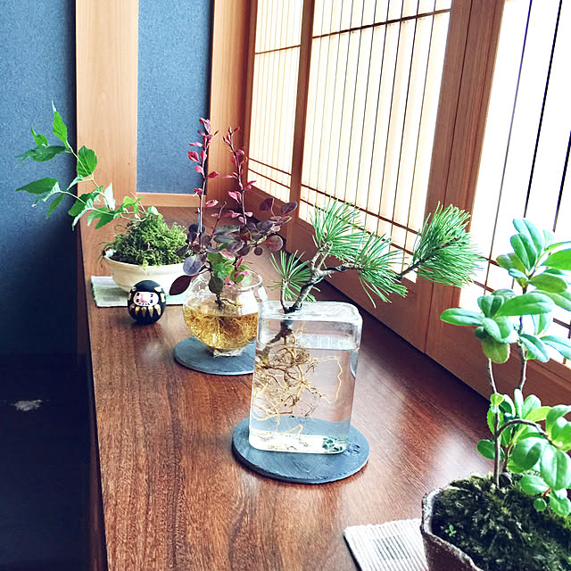 mamyuさんの実例写真